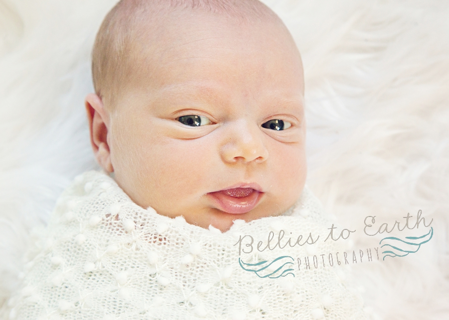 Tiffany Rose~ Loudoun County, VA Newborn Photographer