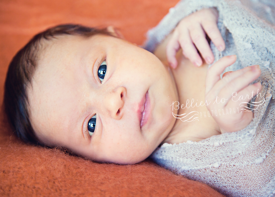 Miss Avery~ Winchester, VA Newborn Photographer