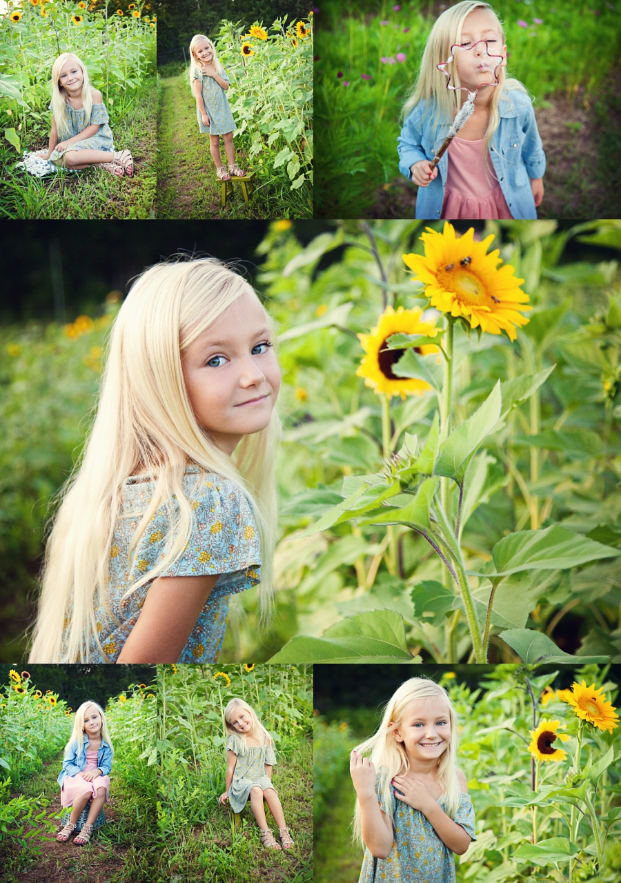 Sunflower Sessions